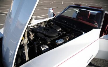 Chevrolet-Corvette-1982-White-Red-14