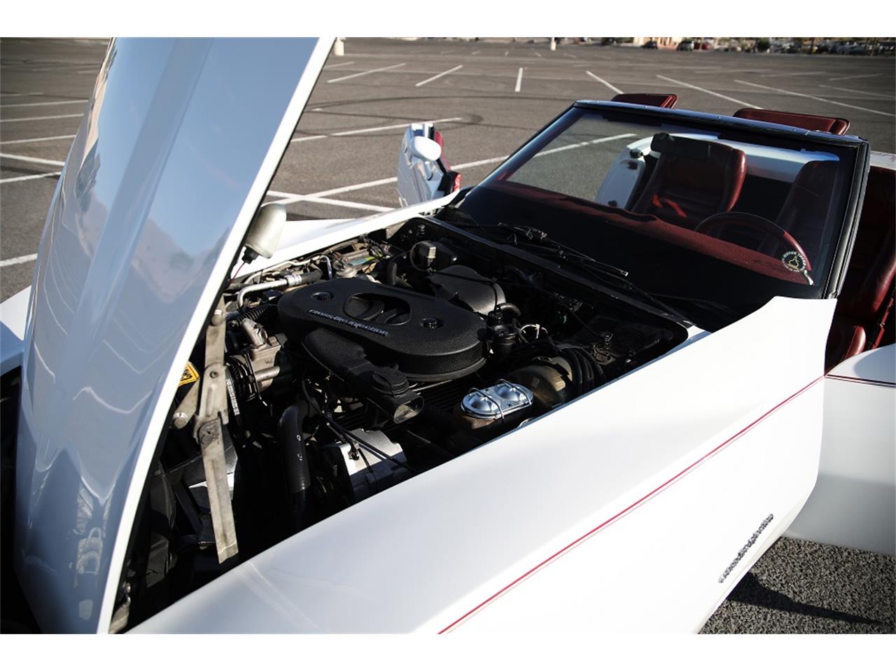 Chevrolet-Corvette-1982-White-Red-14