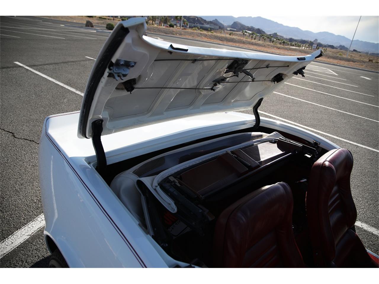 Chevrolet-Corvette-1982-White-Red-20