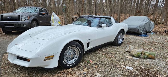Chevrolet-Corvette-1982-White-Red-3