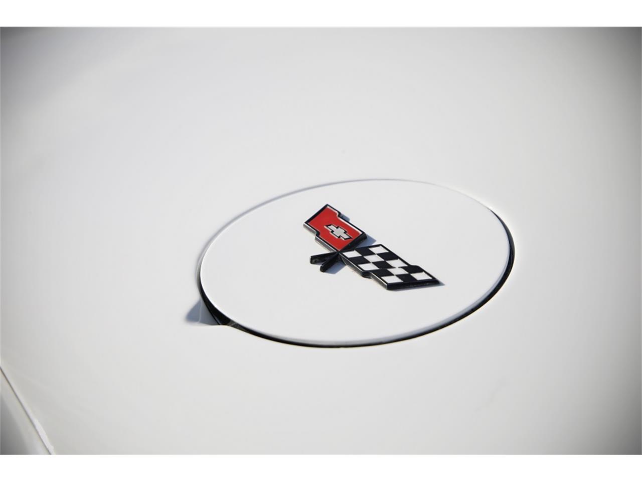Chevrolet-Corvette-1982-White-Red-9