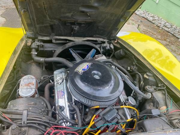 Chevrolet-Corvette-1982-Yellow-9