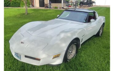 Chevrolet-Corvette-1982-white-red-12
