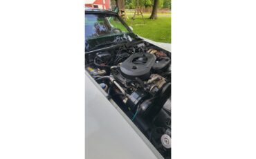 Chevrolet-Corvette-1982-white-red-24