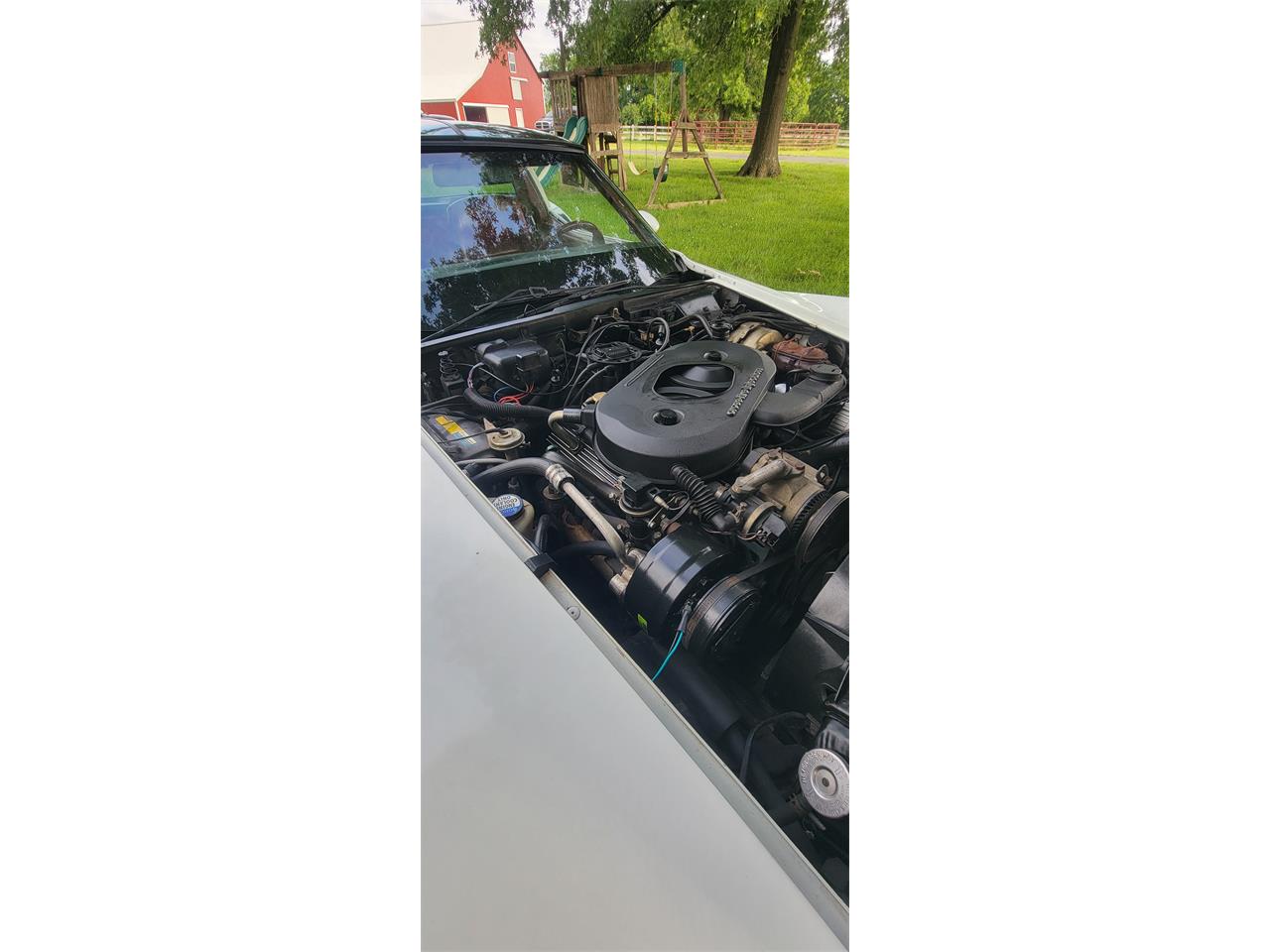 Chevrolet-Corvette-1982-white-red-24