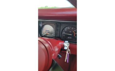 Chevrolet-Corvette-1982-white-red-28