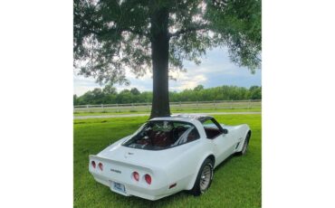 Chevrolet-Corvette-1982-white-red-3