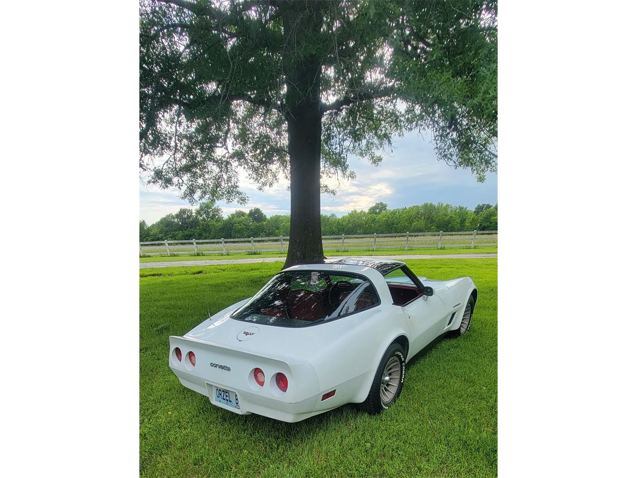 Chevrolet-Corvette-1982-white-red-3