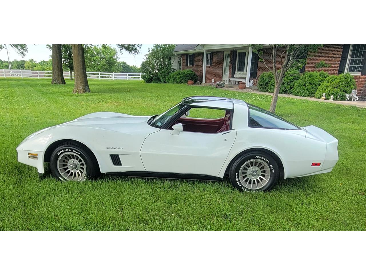 Chevrolet-Corvette-1982-white-red-5