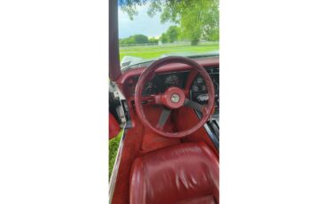 Chevrolet-Corvette-1982-white-red-9