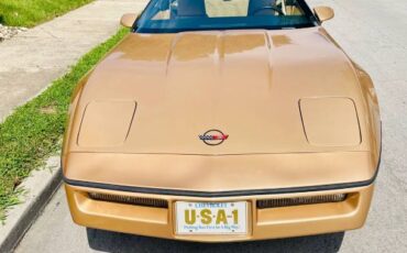 Chevrolet-Corvette-1984-3
