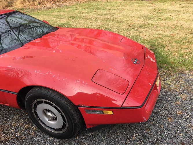 Chevrolet-Corvette-1984-4