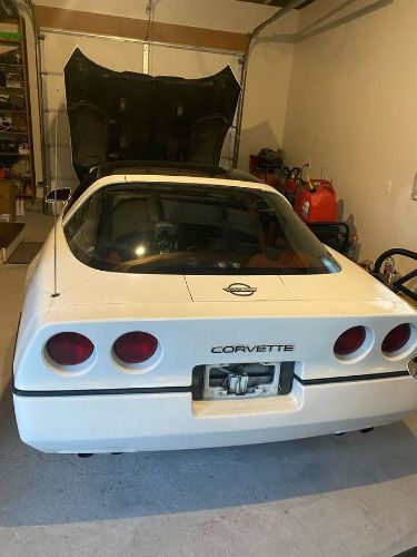 Chevrolet-Corvette-1984-8