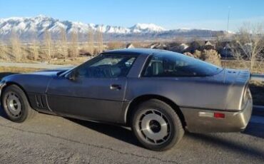 Chevrolet-Corvette-1984-Beige-Beige-1