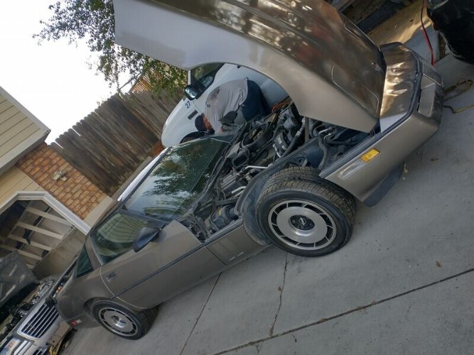 Chevrolet-Corvette-1984-Beige-Beige-3