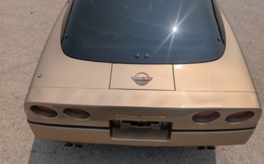 Chevrolet-Corvette-1984-Gold-Black-and-Tan-1