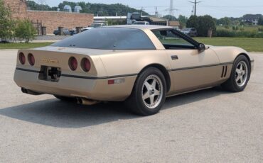 Chevrolet-Corvette-1984-Gold-Black-and-Tan-10