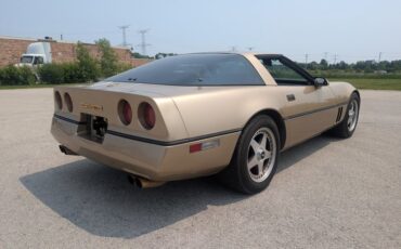 Chevrolet-Corvette-1984-Gold-Black-and-Tan-16