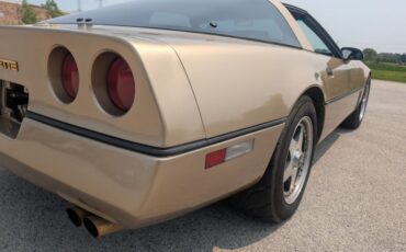 Chevrolet-Corvette-1984-Gold-Black-and-Tan-2