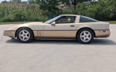 Chevrolet-Corvette-1984-Gold-Black-and-Tan-25