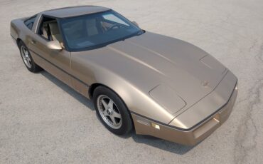 Chevrolet-Corvette-1984-Gold-Black-and-Tan-30