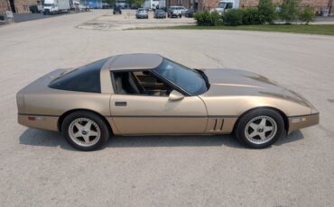 Chevrolet-Corvette-1984-Gold-Black-and-Tan-32