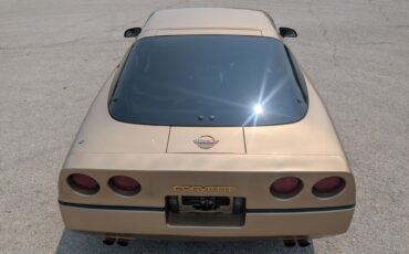 Chevrolet-Corvette-1984-Gold-Black-and-Tan-35