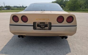 Chevrolet-Corvette-1984-Gold-Black-and-Tan-36