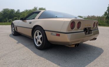 Chevrolet-Corvette-1984-Gold-Black-and-Tan-38