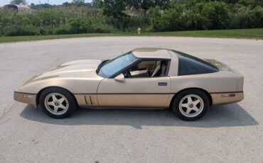 Chevrolet-Corvette-1984-Gold-Black-and-Tan-39