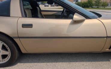 Chevrolet-Corvette-1984-Gold-Black-and-Tan-4