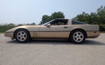 Chevrolet-Corvette-1984-Gold-Black-and-Tan-40