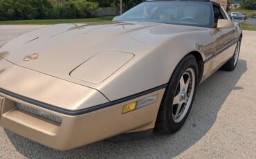 Chevrolet-Corvette-1984-Gold-Black-and-Tan-41