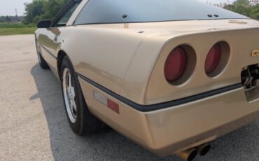 Chevrolet-Corvette-1984-Gold-Black-and-Tan-45