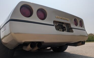 Chevrolet-Corvette-1984-Gold-Black-and-Tan-46