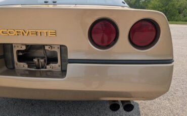 Chevrolet-Corvette-1984-Gold-Black-and-Tan-48