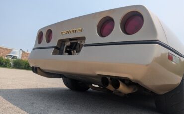 Chevrolet-Corvette-1984-Gold-Black-and-Tan-49