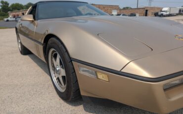 Chevrolet-Corvette-1984-Gold-Black-and-Tan-6