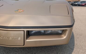 Chevrolet-Corvette-1984-Gold-Black-and-Tan-9