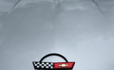 Chevrolet-Corvette-1984-Gray-Gray-15