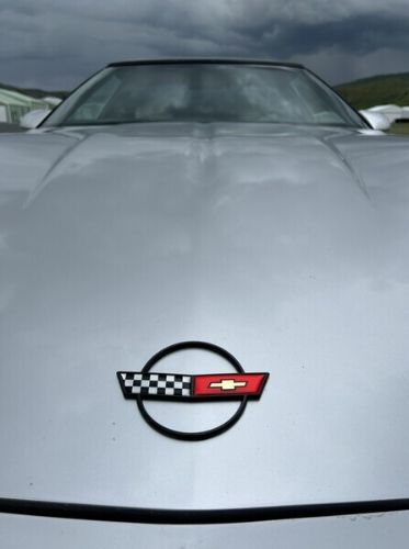 Chevrolet-Corvette-1984-Gray-Gray-15