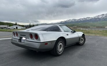 Chevrolet-Corvette-1984-Gray-Gray-2