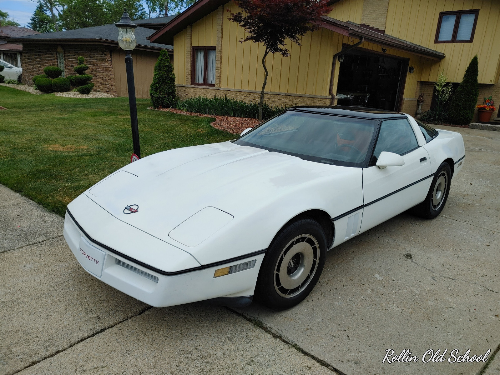 Chevrolet-Corvette-1984-Hatchback-1