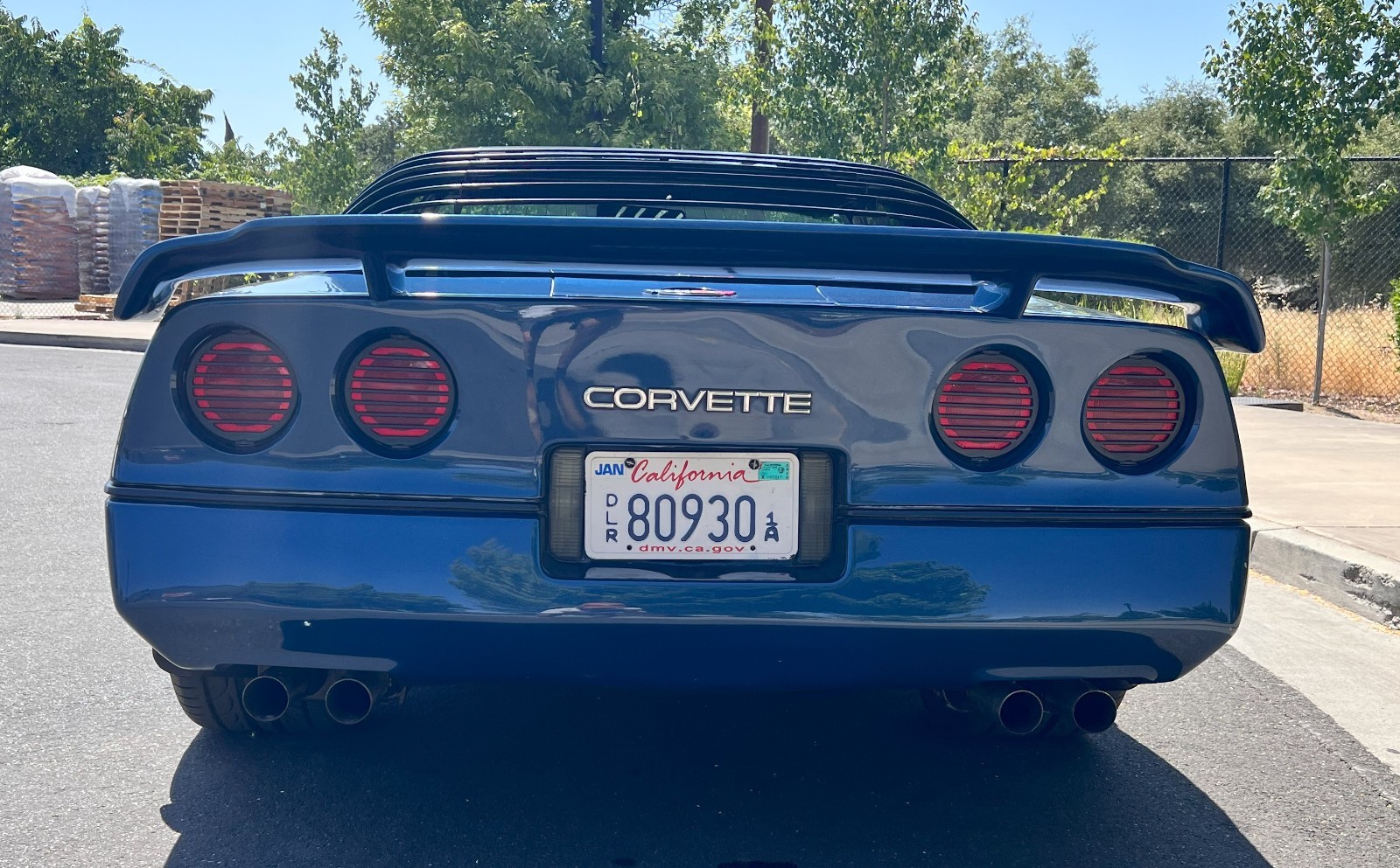 Chevrolet-Corvette-1984-Hatchback-4