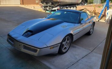 Chevrolet-Corvette-1984-Silver-9