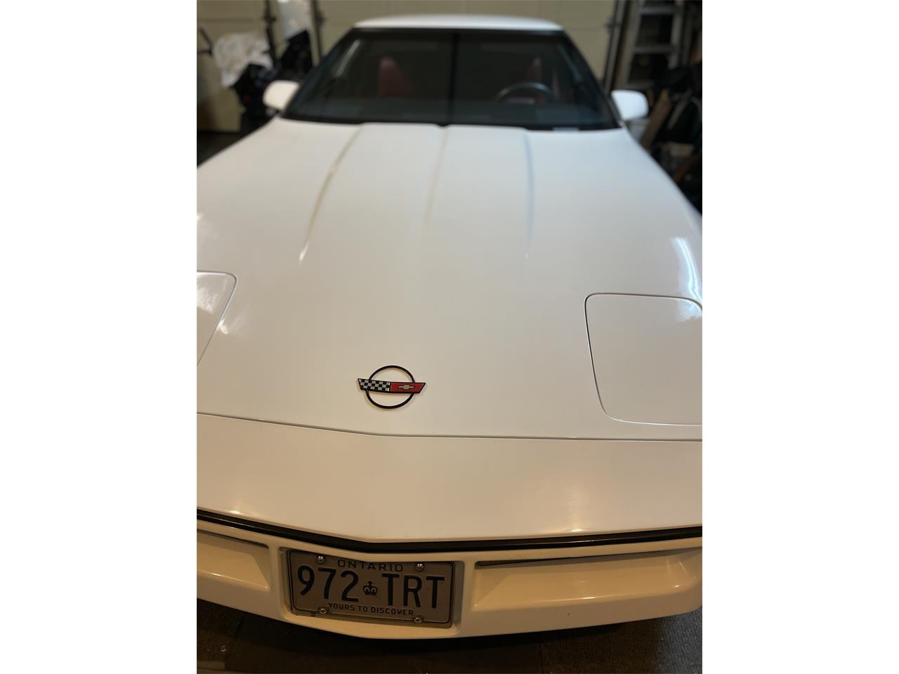 Chevrolet-Corvette-1984-White-Red-2