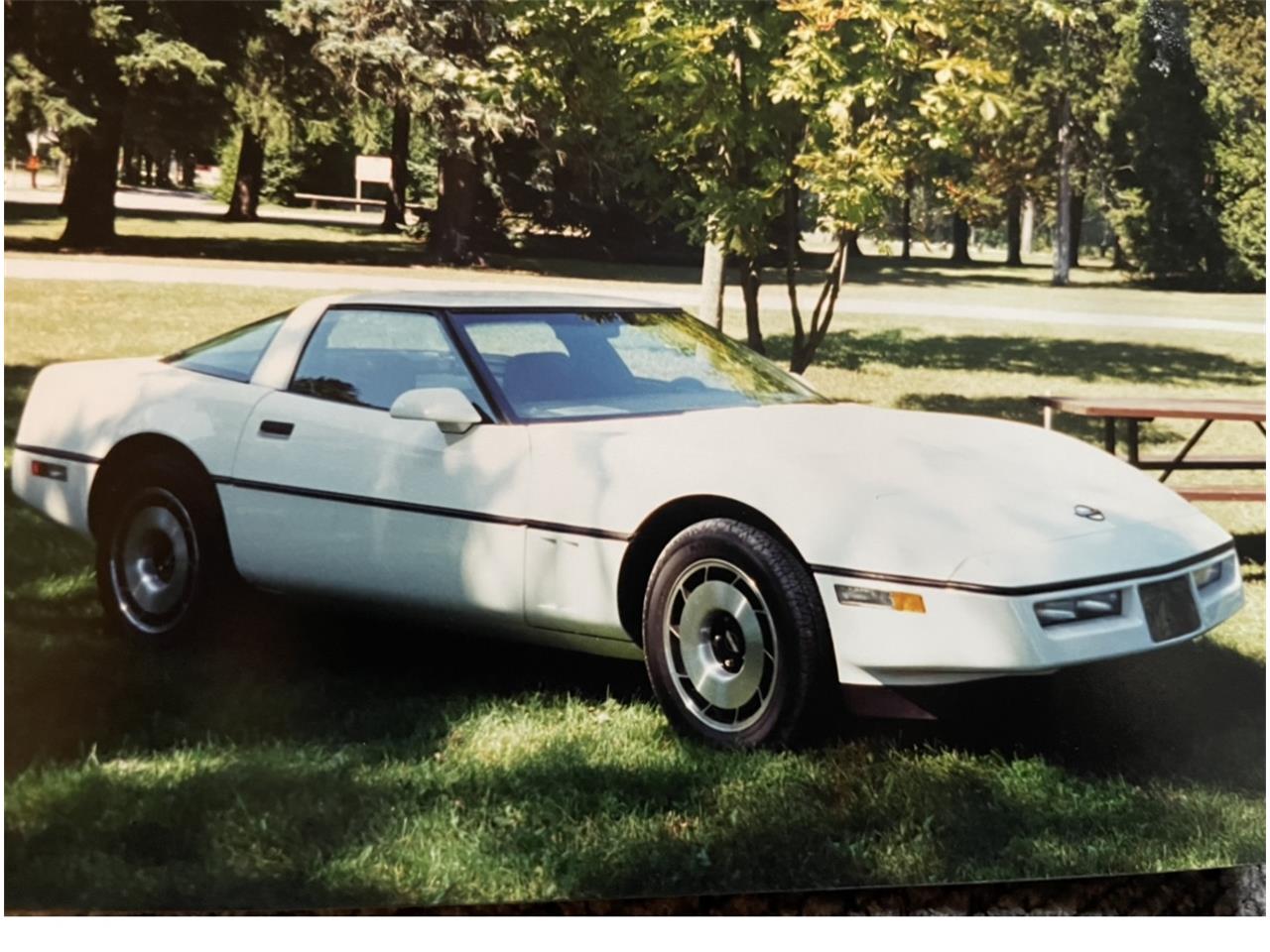 Chevrolet-Corvette-1984-White-Red-3