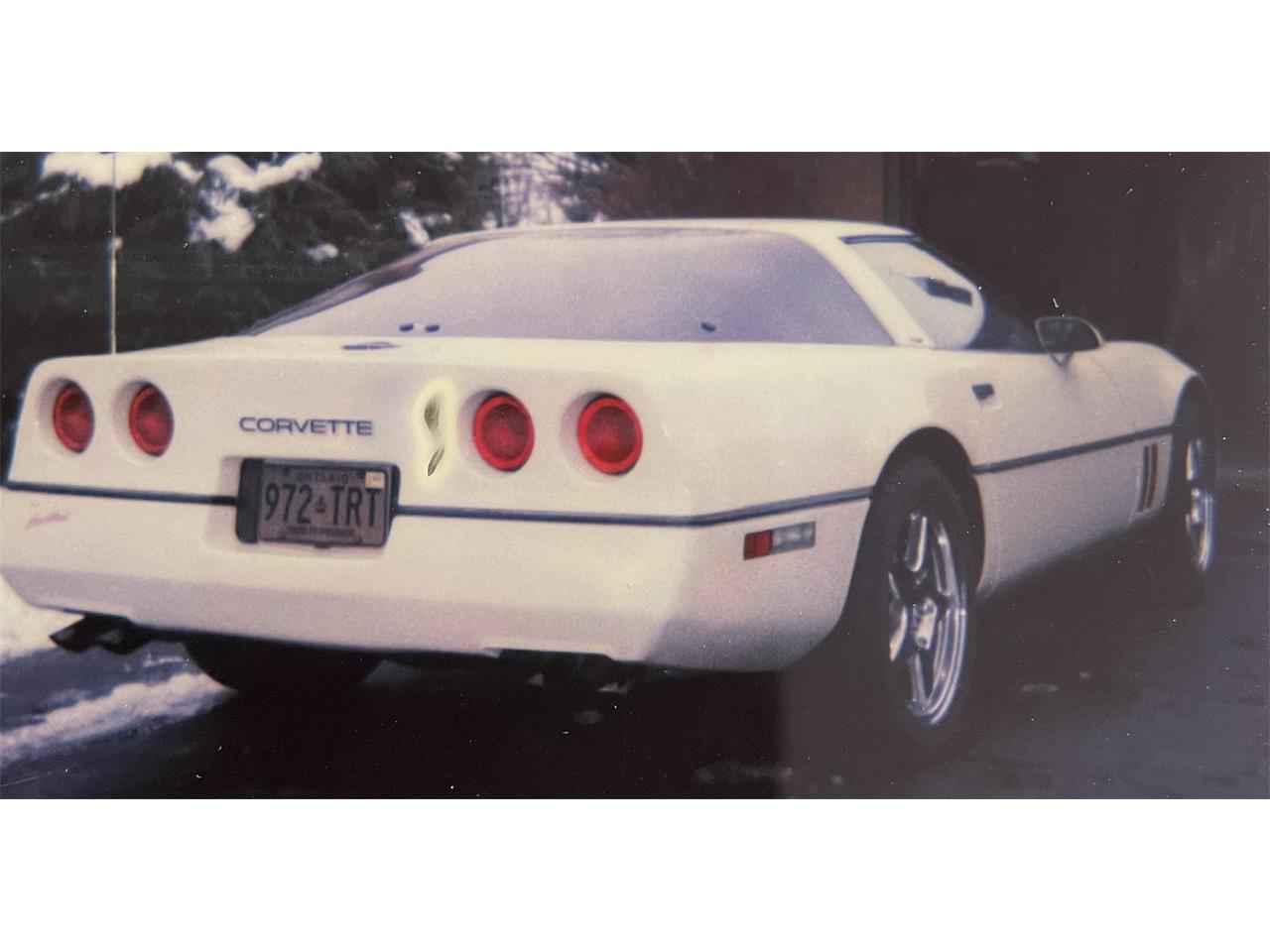 Chevrolet-Corvette-1984-White-Red-5