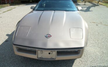 Chevrolet-Corvette-1984-bronze-metallic-bronze-1