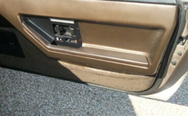 Chevrolet-Corvette-1984-bronze-metallic-bronze-13